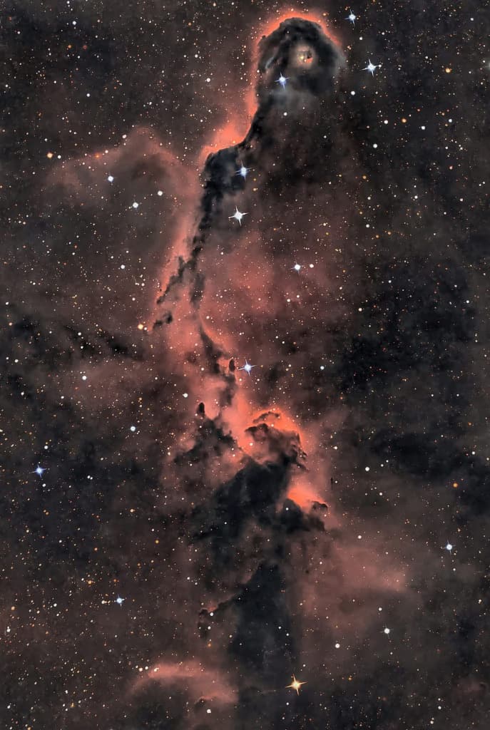 NASA obrázek dne: Sloní chobot v souhvězdí Cephea